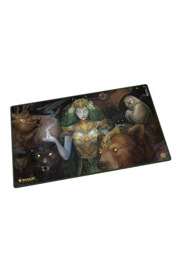 Cards & Dice